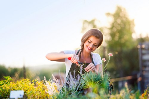 Gardener assessing a front yard garden in Kenton