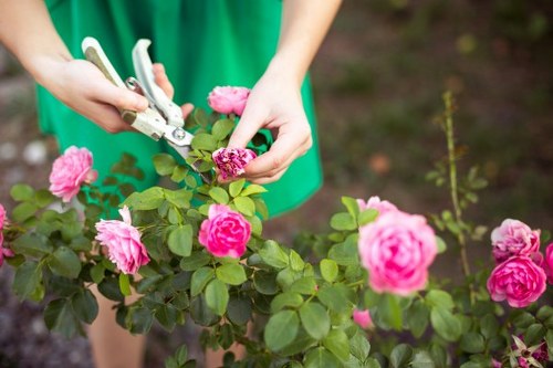 Volunteers collecting surplus plants for charity